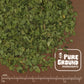 Organic Parsley