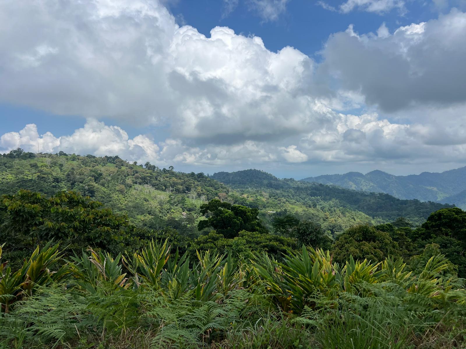 Pure Ground Ingredients